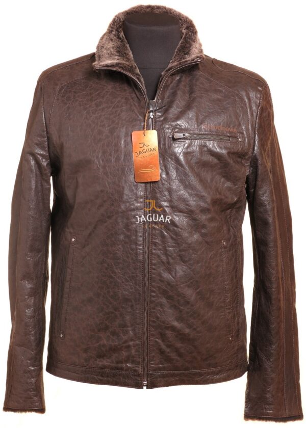 Мужская дублёнка короткая ZA7469b brown zingaro